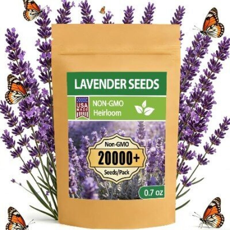 Premium Lavender Seeds - 20000+ Non-GMO Heirloom Seeds for Gardening